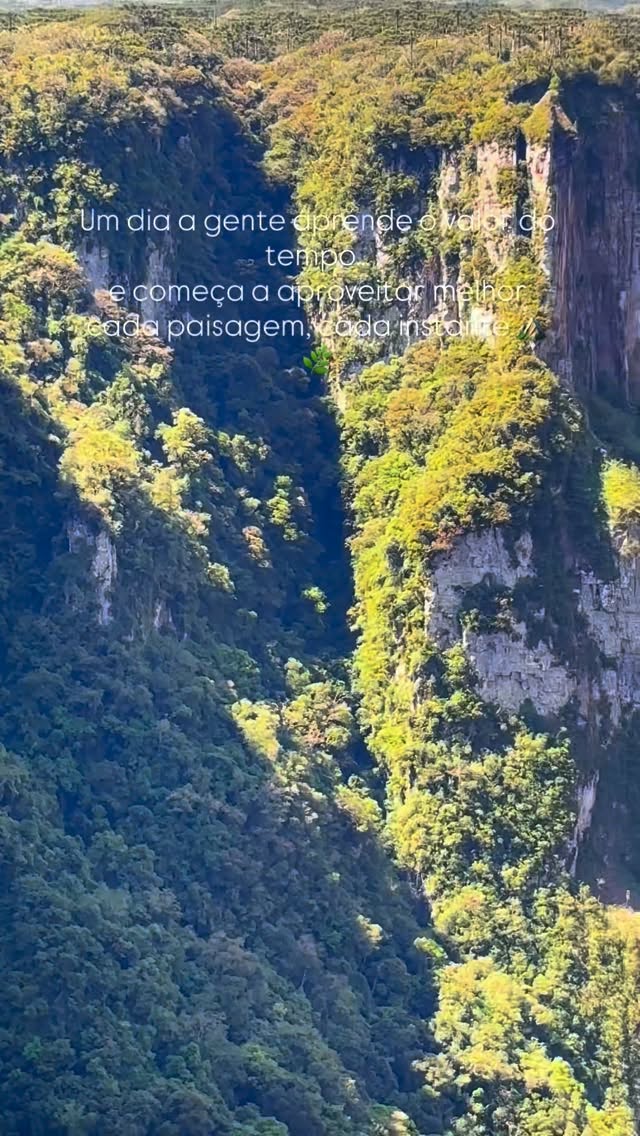 Cânion coberto de mata